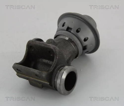 Vanne egr triscan 8813 - egr,