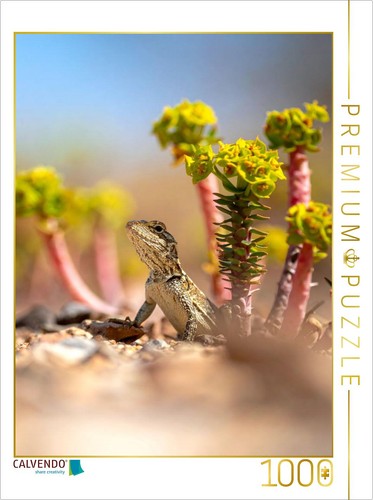 Calvendo puzzle euphorbia - calvendo,