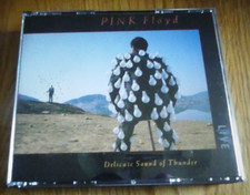 Pink Floyd Delicate Sound of