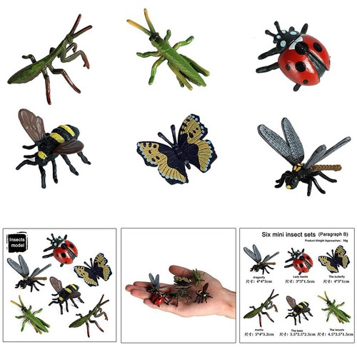 Réaliste insectes action - insectes, d'action