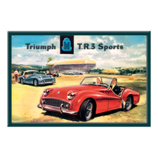 plaque métal publicitaire 20x30cm relief  : TRIUMPH TR3
