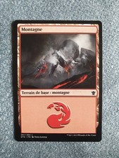 MTG Magic carte Terrain de