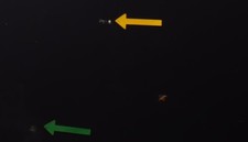 Capot PEUGEOT 306 PHASE 2