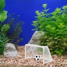  Aquarium Accessoires Pour