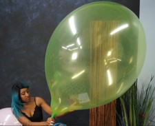 1x Grand Cattex Longneck