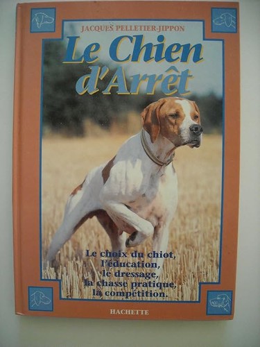 Chien arrêt initiation - le, d'arrêt: