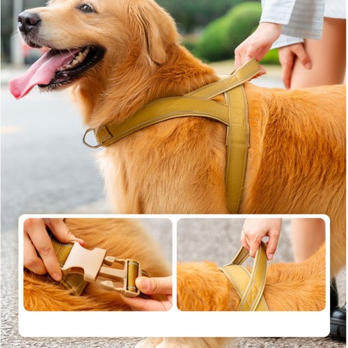 Harnais pour chien - , secure
