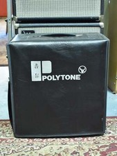 Polytone Mini-Brute Satellite
