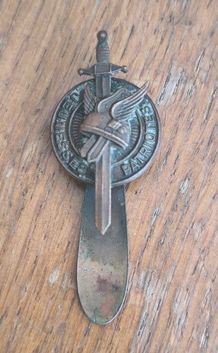 Insigne bronze politique - insigne,