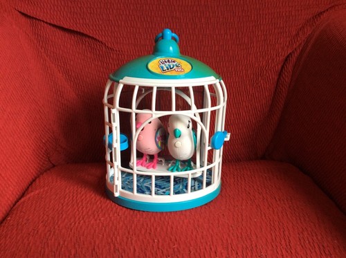 Cage oiseaux avec - cage,