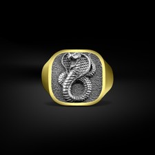 Bague chevalière pour homme