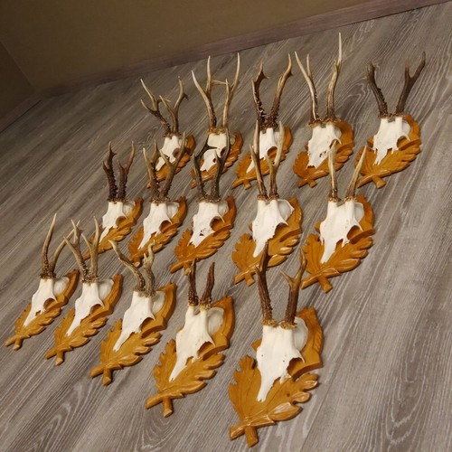 Pièces bois cerf - de,