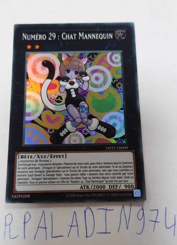 Numéro 29 chat - 29,