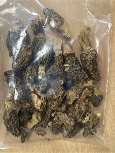 Morilles séchées 100 - 100, g