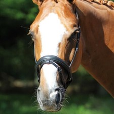 Muserolle Protanner Pull-back NOIR TAILLE CHEVAL