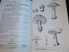 lot livres anciens, 1951, EO,  1 volume, Champignons, 101 planches, complet, TBE