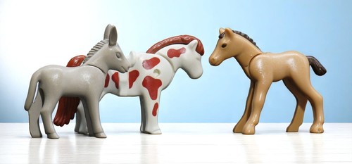 Playmobil petits animaux mixte - petits,