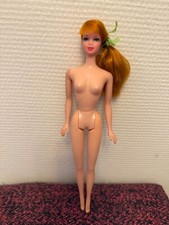 barbie stacey