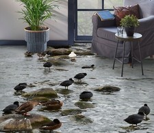 Canard noir 3D 8112NA papier