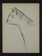 Pablo PICASSO : 40 dessin en