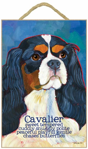 Cavalier king charles traits - charles, &