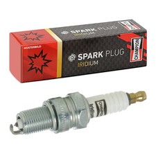 CHAMPION Bougie d'allumage