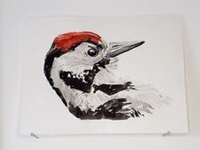 Pic épeichette AQUARELLE