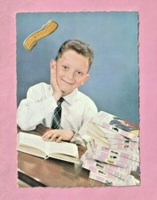 VIVE ST NICOLAS - GARCON ET COLLECTION BIBLIOTHEQUE ROSE LE CLAN DES SEPT / 7