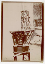 Mangeoire à oiseaux Vintage Print Tirage citrate  13x18  Circa 1890 