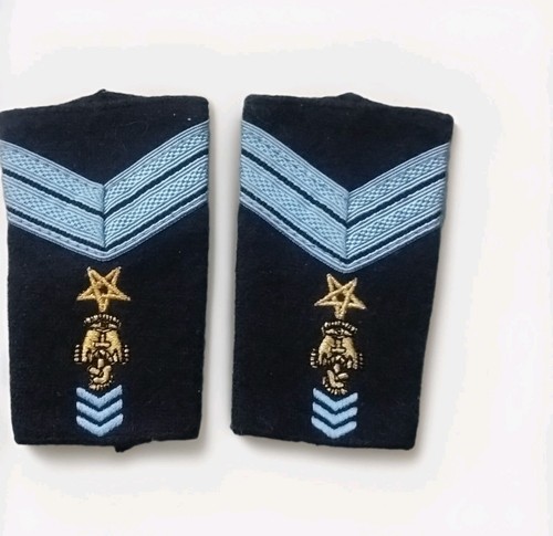 Insigne militaire grade paire