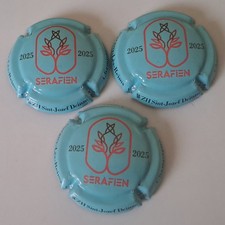 LOT 3  Capsules De Champagne