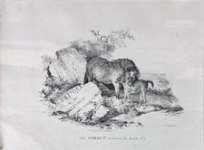 Jean Louis Theodore Gericault