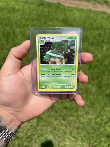 Pokémon tcg torterra holo - pokémon,