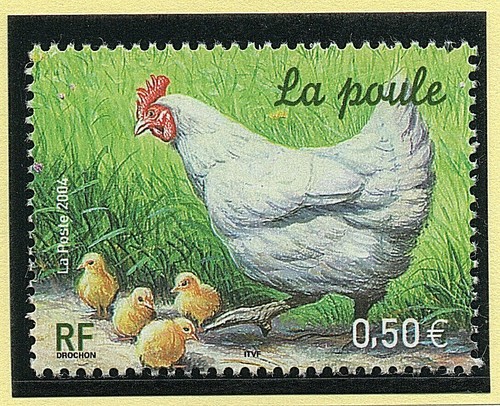 Pochettes hawid fond noir - 50,