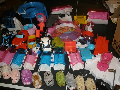 Huge lot zhu - of, pets