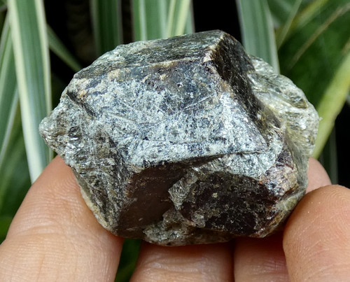 Grenat almandin micaschiste - almandin,