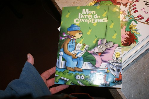Mon livre comptines - livre,