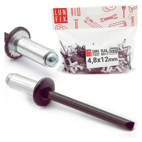 100 rivets aveugles en - 100,