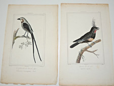 2 GRAVURES XIXème coloriées