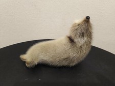 Phoque en peau Art Inuit jouet poupée Canada