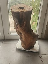 Bois d'olivier Provence N°X15 lot 1 rondin / tronc 8kg400 sculpture tournage 