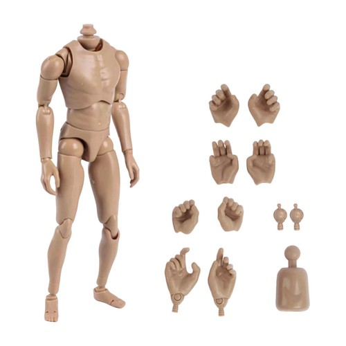 Figure masculine corps - 1/6,