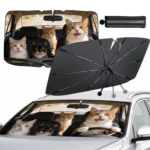 Pare soleil voiture - pare,