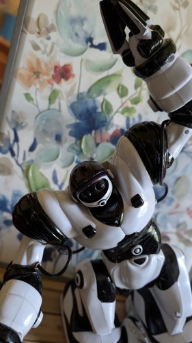 Wowwee robosapien robot toy - wowwee,