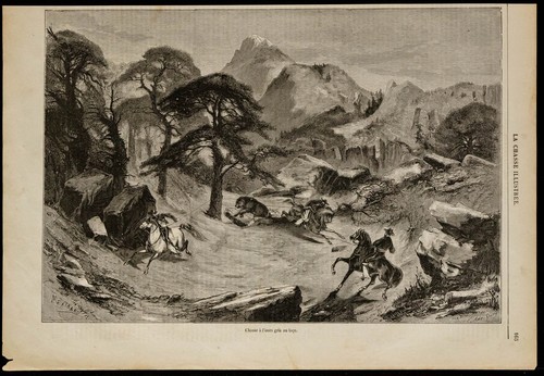 1869 chasse l ours - chasse, à