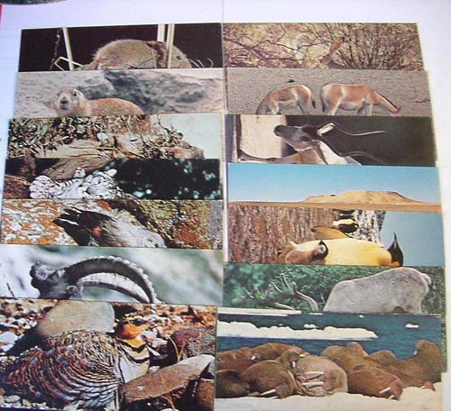 Cartes postales nestle - cartes,