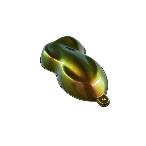Caméléon clapet peinture - clapet,
