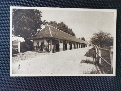 Cpa haras ouilly le - -,