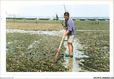 AFJP9-0844-17 - grattage d'huitres a plat a l'ancienne - ostréiculture - MARE