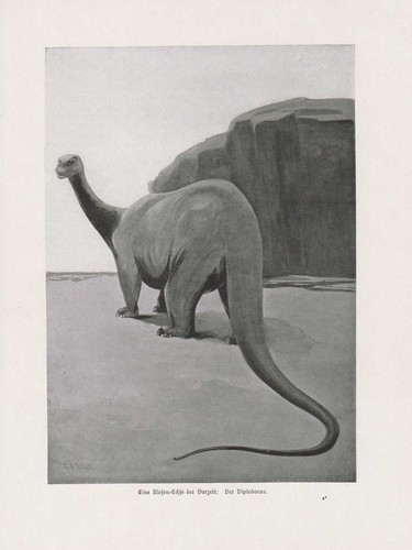 Diplodocus dinosaure - diplodocus,